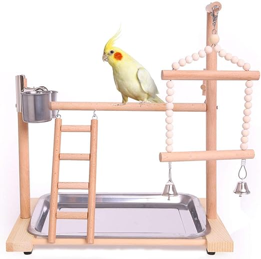 eagle pack power dog food review