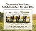 Instinct Raw Boost Grain Free Venison & Lamb Meal Formula Natural Dry Dog Food By Nature'S Variety, 4.1 Lb. Bag
