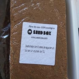 SeedBox SBMIMG Kit huerto Urbano de Menta, Blanco, 20x25x25 cm ...