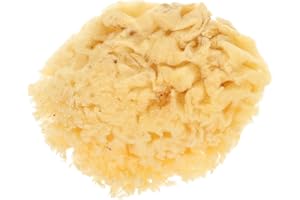 LOLIPPYY Natural Sea Sponge Artist Tool Soft Absorbent for Watercolor Acrylic Texture Painting DIY Crafts