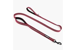 APakBak Double Handle Dog Leash 6 FT Reflective 2 Handle Traffic Lead with Padded Grip, Heavy Duty Nylon Leash for Walking Tr