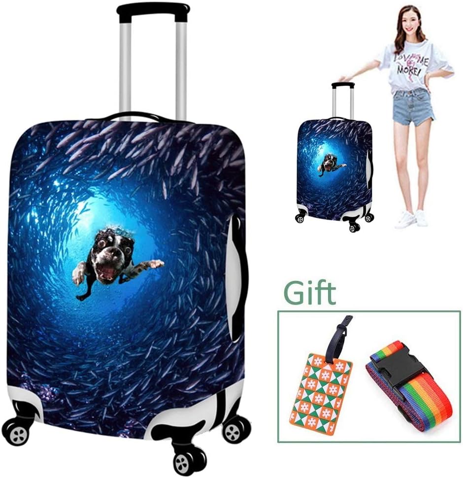 reasonably priced luggage