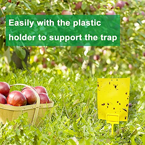 50 Sheets Yellow Sticky Traps, Fruit Fly Traps, for Indoor and Outdoor