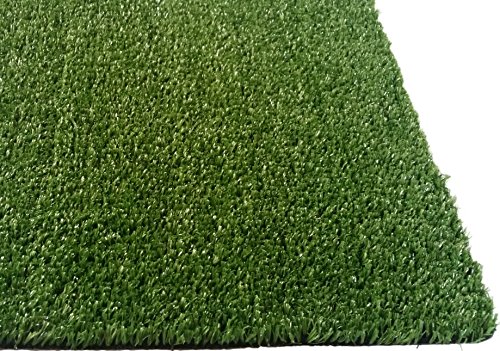 Realistic Turf Patch