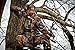 Hunter Safety System Treestalker Safety Harnesses