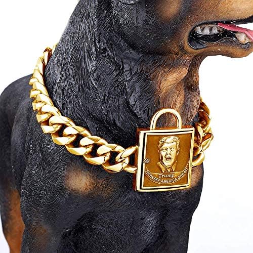 Friends Dogs Perro Head Collars with Lock Pendant Engraved Trump Slip Martingale Collar Fur Saver Chain for Boys Girls Pet