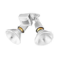 Globe Electric 17000270 110-Degree 240 W Twin Head