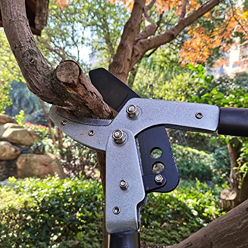 Loppers Branch Cutter Tree Trimmer Extendable Lopper with Compound Action, Chop Thick Branches