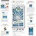 Oral Essentials Whitening Strips (Pack of 14) No Sensitivity/Dentist Formulated/Clinically Tested/Non-Toxic
