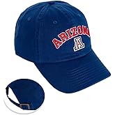 Desert Cactus University of Arizona Baseball Hat UA Wildcats Brimmed Embroidered Hats Cap Adjustable Cloth Strap Adult (Style D1) Blue