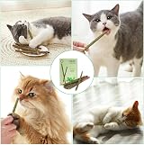 OSDUE Catnip Sticks Cat Teething Toys 12pcs Natural Wood Chews for Teeth view 6