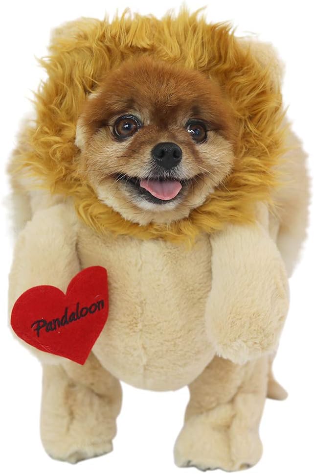 Pandaloon Lion Dog Pet Costume Set - AS SEEN ON Shark Tank - Walking Teddy Bear Arms (Size 4 (20-23.5 in Total Height), Lion (Orange))