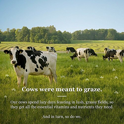 Organic Valley Lactose Free Milk - Image 9