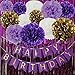 Happy Birthday Bunting Banner Purple Birthday Party Decorations Set Purple Gold White Tissue Paper Pom Poms Paper Flowers and Set of Shiny Purple Foil Fringe Curtain