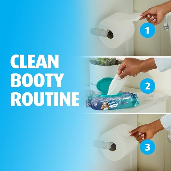 CHARMIN FLUSHABLE WIPES, 2 PACKS, 40 WIPES PER PACK, 80 TOTAL WIPES
