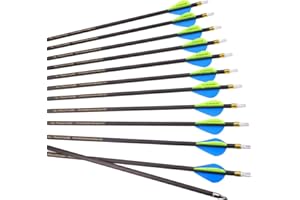 6/12pc Custom Length Carbon Arrows Spine 300 350 400 500 600 700 800 Removable Tips 2" Vane Plastic Fletching Targeting Hunti