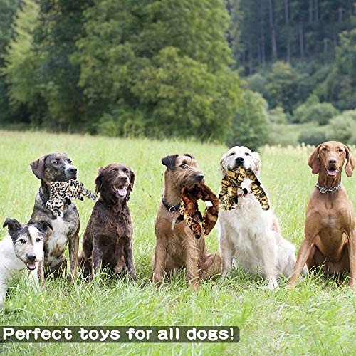 Gooswexmzl Stuffing Free Dog Toys with Squeakers for Small and Large Breeds, Chew Toys for Dogs, Dog Toy 6 Packs