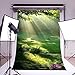 LB 5x7ft Nature Poly Fabric Photo Backdrops Customized Studio Background Studio Props M-36 …