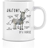 bitCNY Funny Horse Anatomy Mug – Cute Cartoon Sarcastic Meme Graphic Birthday Present for Dad Mom, Equestrian Gift, Horse Lover Joke Mug