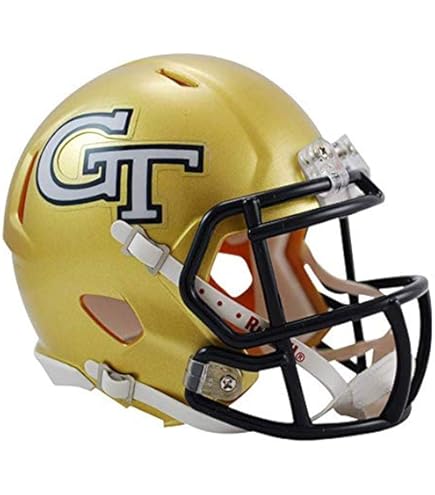 Amazon.com : Riddell Pittsburgh Panthers NCAA Revolution Speed Mini Football  Helmet Pitt : Sports & Outdoors