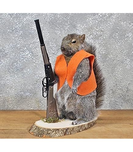 thumbnail image 2 of Cowboy Squirrel Taxidermy Animal Statue On Base - Life Size - American Natural Resources - Made In USA 2 of 6
