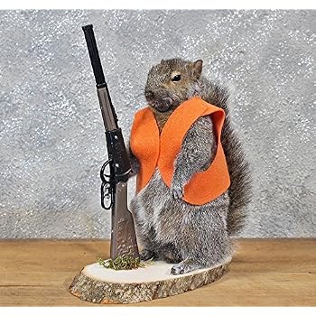 Cowboy Red Squirrel SKU 3123 - All Taxidermy