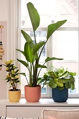 elho Vibes Fold Round 14 Pink Plant Pot 100% Recycled Plastic Ø14.1xH12.9 cm view 9