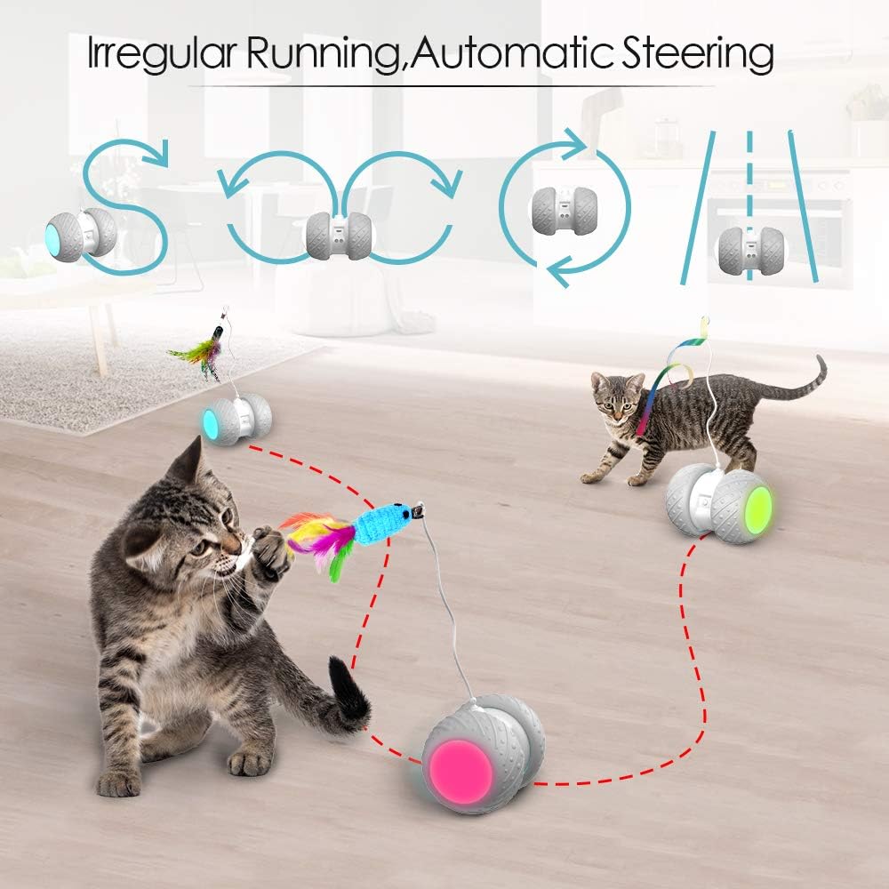 k-berho Cat Toys Interactive, Cat Toys for Indoor with Feather, Ball, Mouse and 2 Color Ribbons, Automatic Cat Toy with Irregular USB Charging 360 Degree Self Rotating Ball : Pet Supplies