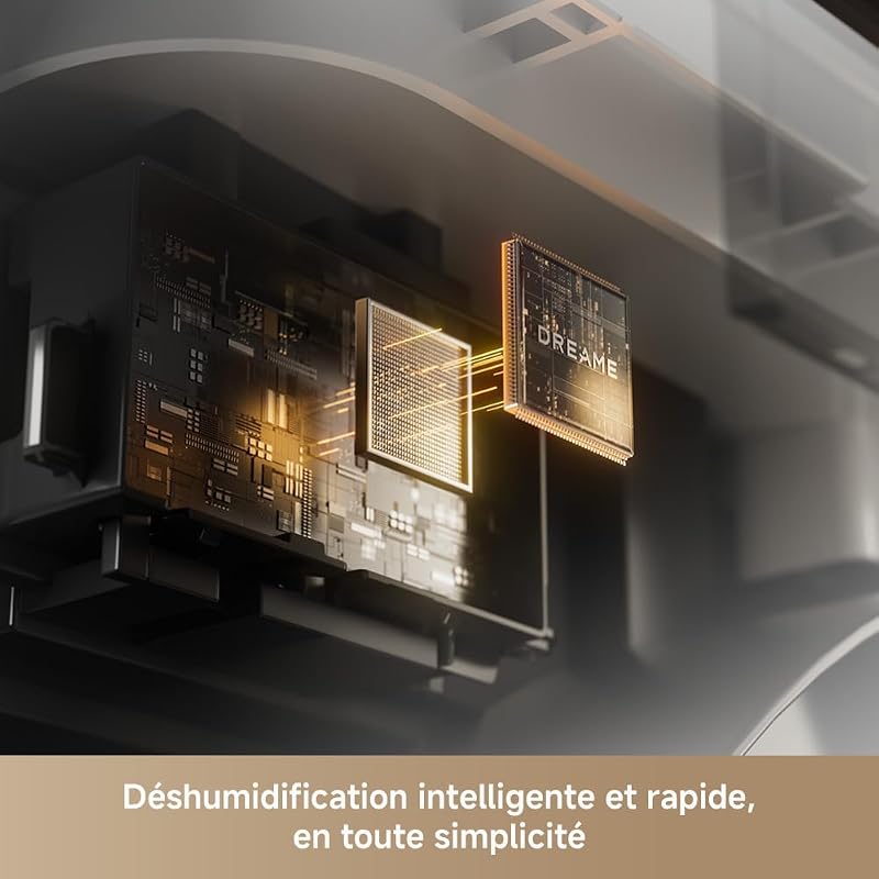 DD20 Déshumidificateur, déshumidification haute efficacité 20 L/jour