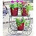 CobraCo Two Tiered Garden Cart FC100 (1, 2-Tier)