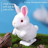 Aisszhao 2 PCS Rabbit Wind Up Toys Kids Clockwork Jumping Chick Easter Gift view 4