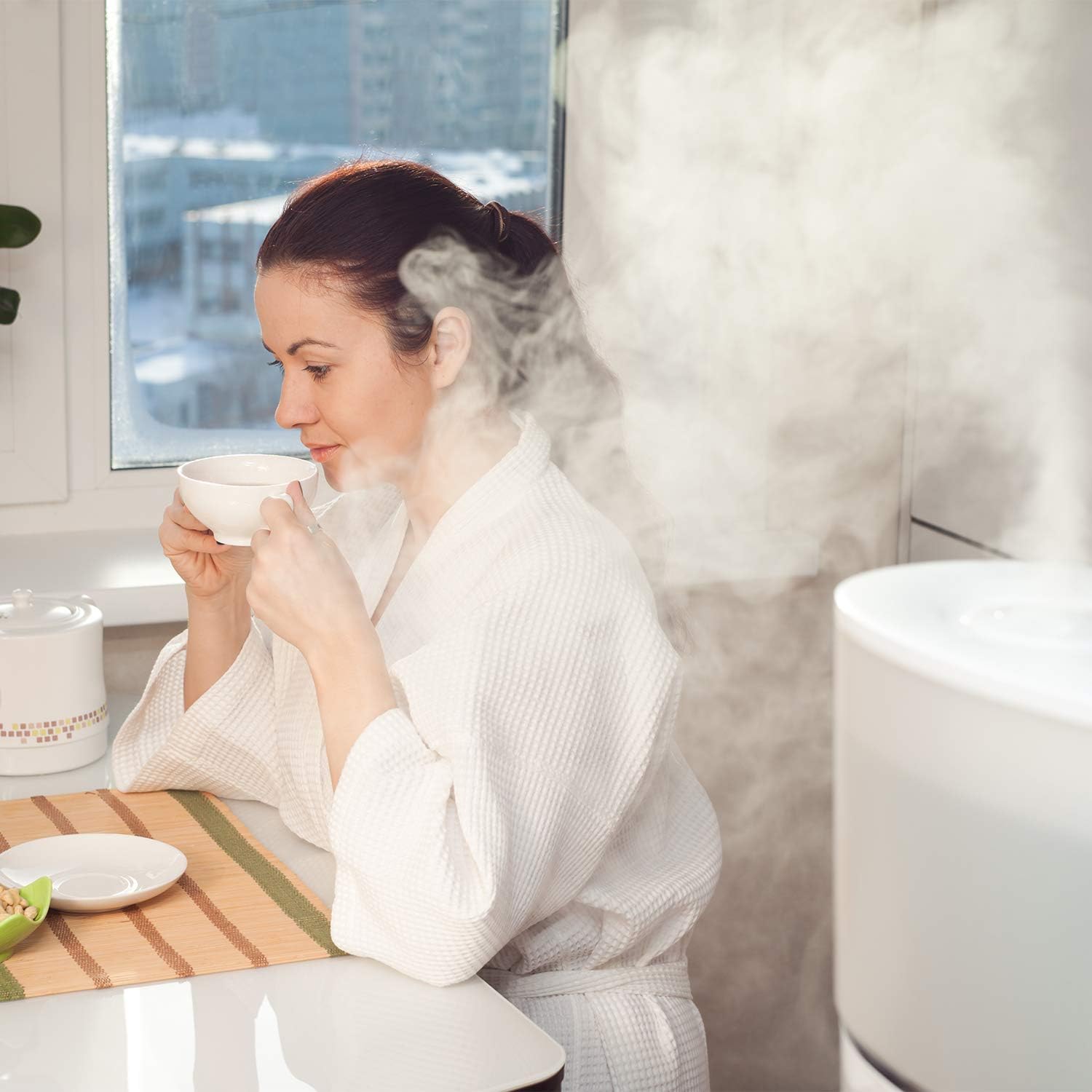 Mudder 509229-1 822419-2 Humidifier Bottle Valve Cap Valve Caps for Humidifier Compatible with Kenmore Moistair Emerson Essick Fits for 758144071 758144170 758144070 758154200 758144150 (2): Home Improvement