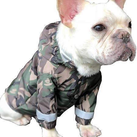 abbigliamento cani kappa