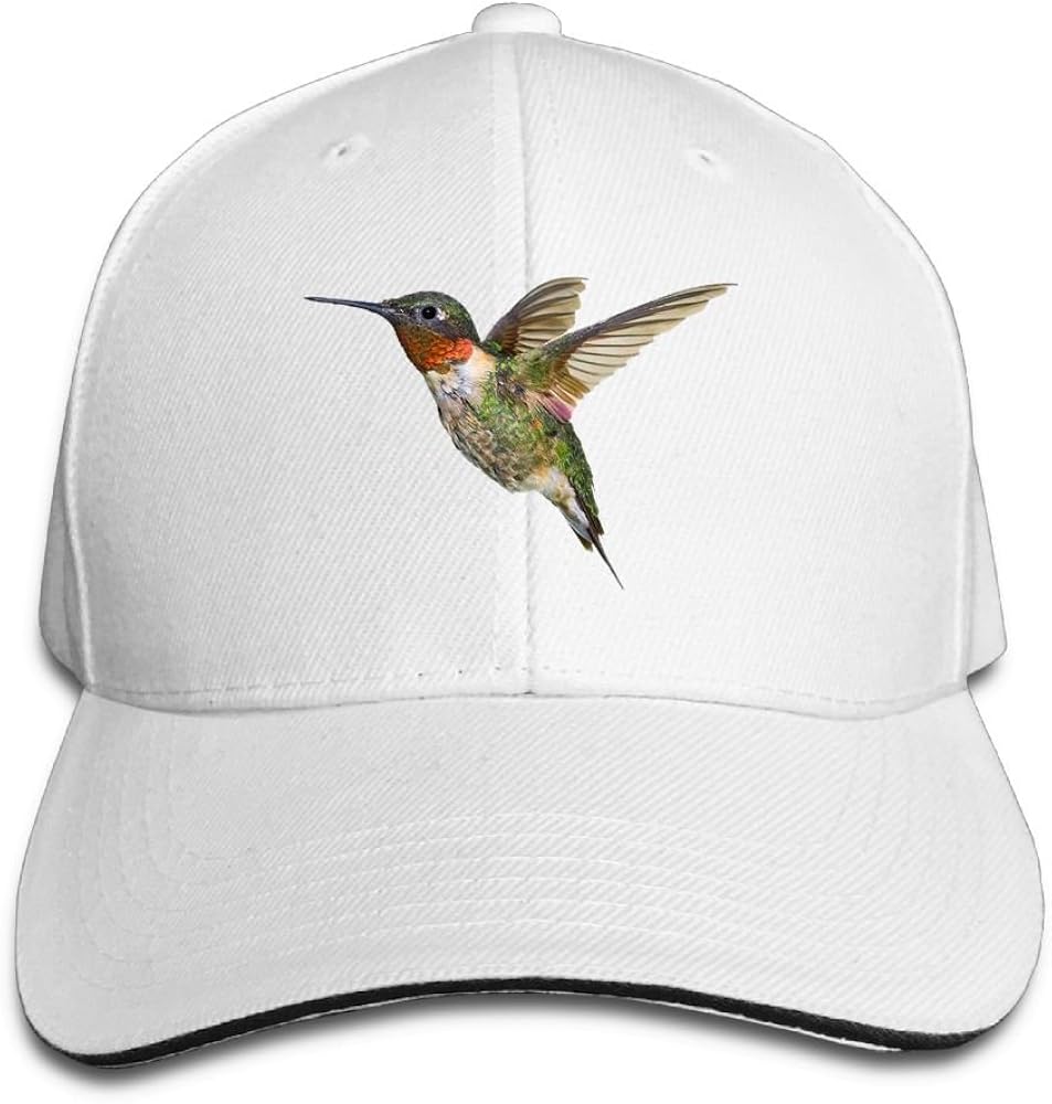 hummingbird baseball cap