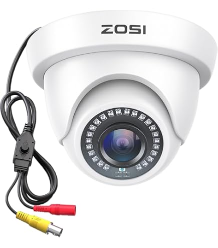 Amazon.com : Q-See Home Security Add-On Camera, 1080P Analog HD