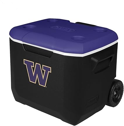 purple coleman cooler