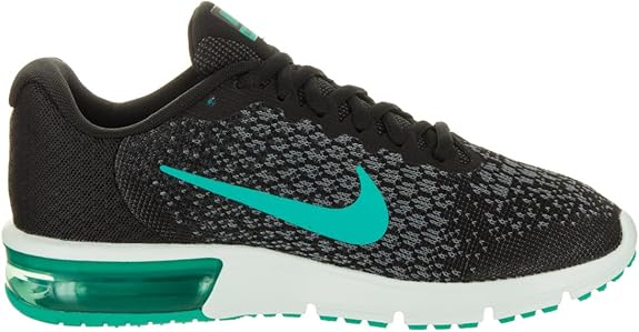 nike sequent 2 women's