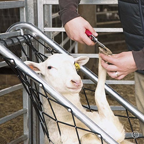 Premier Deck Chair For Sheep