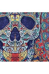 Sunshine Joy® 3D Skull Tapestry - 60X90 - Beach