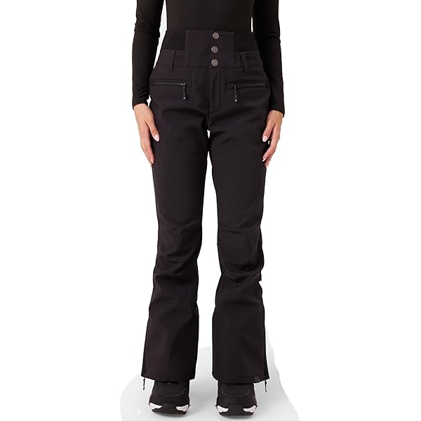 Amazon.com : Roxy Women's Diversion Snow Pants with DryFlight