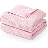 Wemore Minky Dot Weighted Blanket for Adults Queen Size 15 lbs, Soft Cozy Heavy Blanket for Stress Relief and Sleep Promotion, Breathable Blanket for All-Season with Glass Beads, Pink 60 x 80 inches
