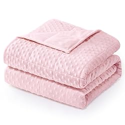 Wemore Minky Dot Weighted Blanket for Adults Twin