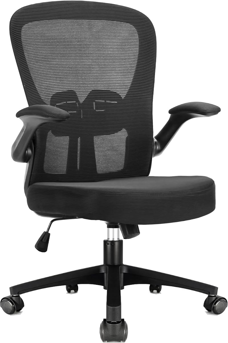 Durrafy Ergonomic Office Chair, Adjustable Lumbar Support, Flip-up Armrests