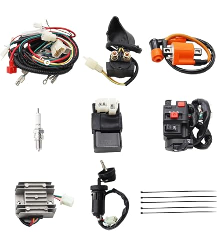 アクセサリー nam Amazon.com: Namz Custom Cycle Replacement OEM 12-Volt Power