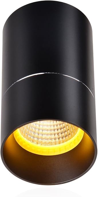 geled 05031 einflammig Oberfläche Halterung gerichtetes Spot mit 6 W