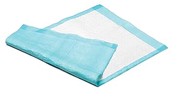 KRANKENUNTERLAGEN EINMALUNTERLAGEN - 60 x 90 cm - 10 Stuck - INTERHOME©