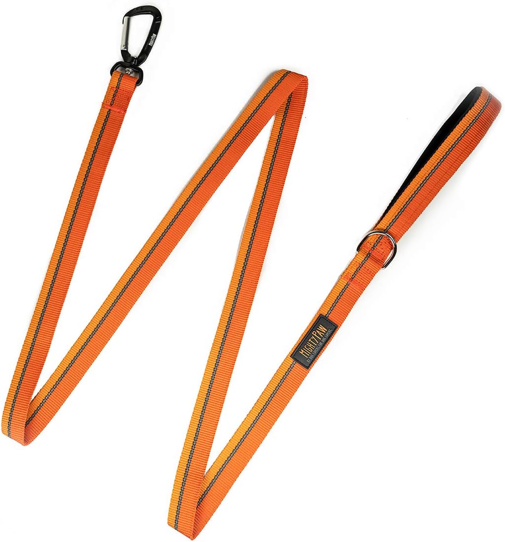 dog leash with d ring