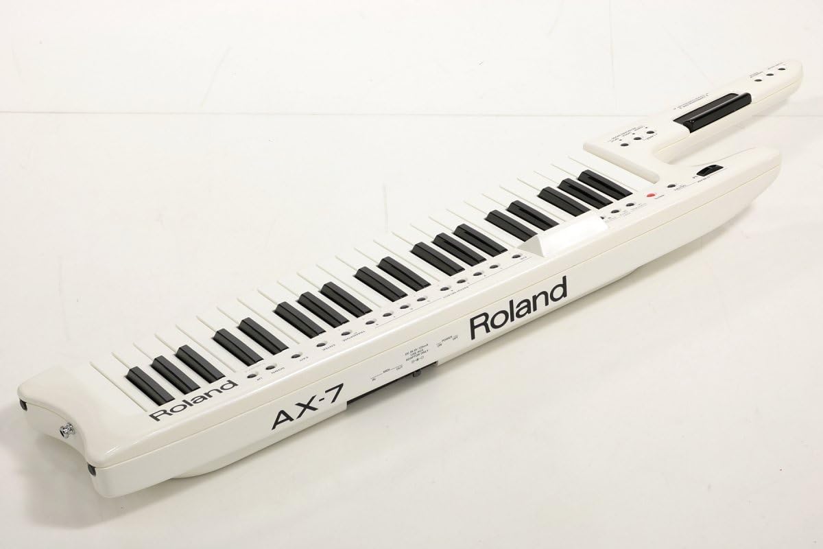 廃盤⭐︎超美品未使用Rolandローランド AX-7 取説、ケース有 動作