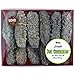 WOHO American Wild Caught Medium Size Sea Cucumber - 8 Oz