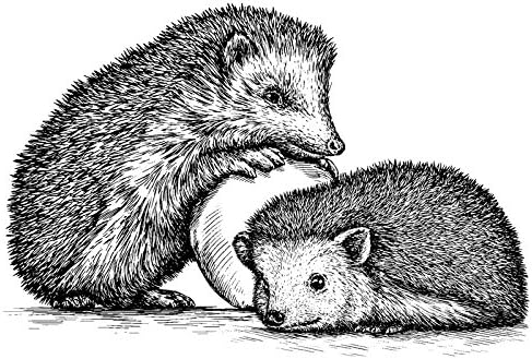 Fein Contour, 10 x 15 cm, Hedgehog | Scrapbooking, Craft, Home DIY, Decorating Greetings Cards